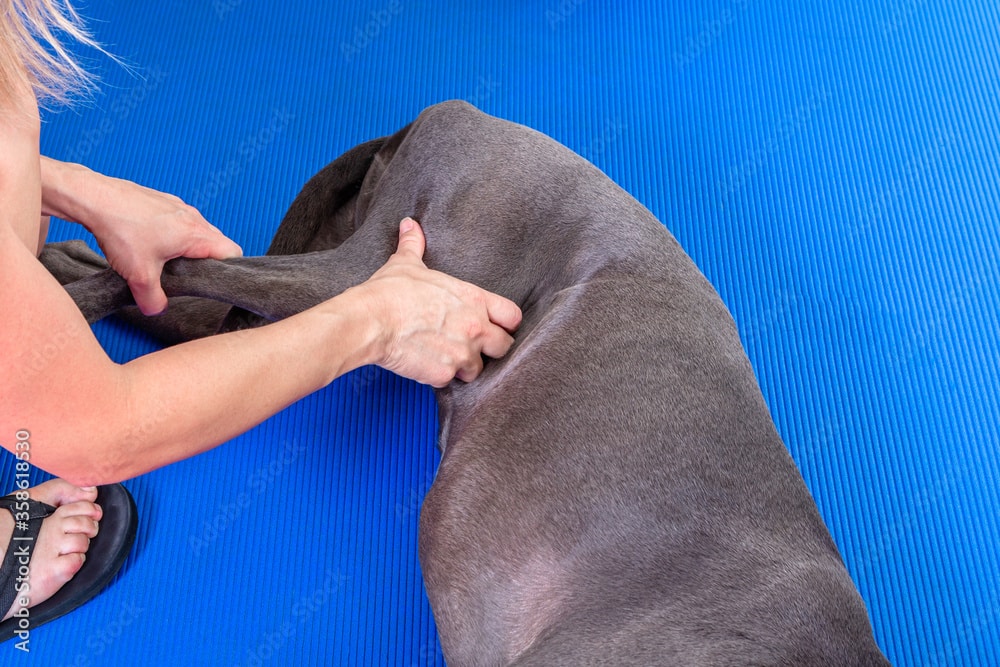 AdobeStock_358618530_Preview